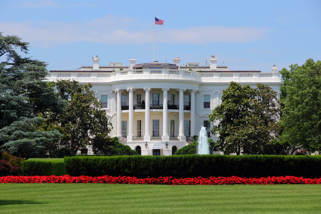 View from the White House lawn