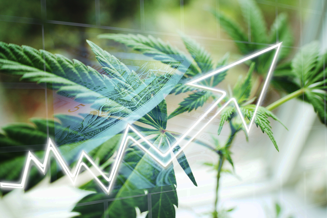 Cannabis Stocks Increasing