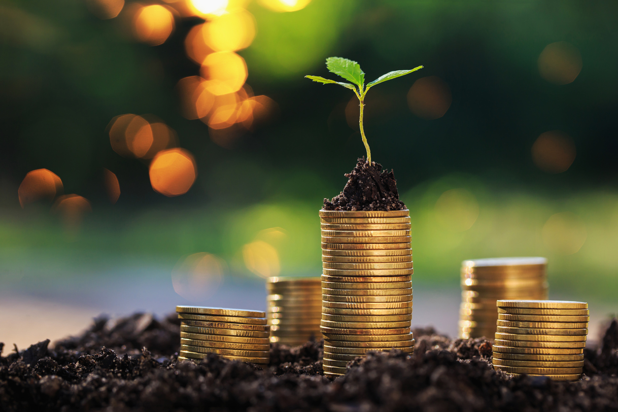 Saving money concept; coins stacked on soil
