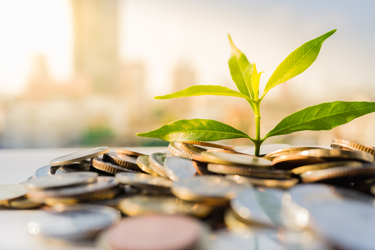 Financial growth concept' plants on pile of coins