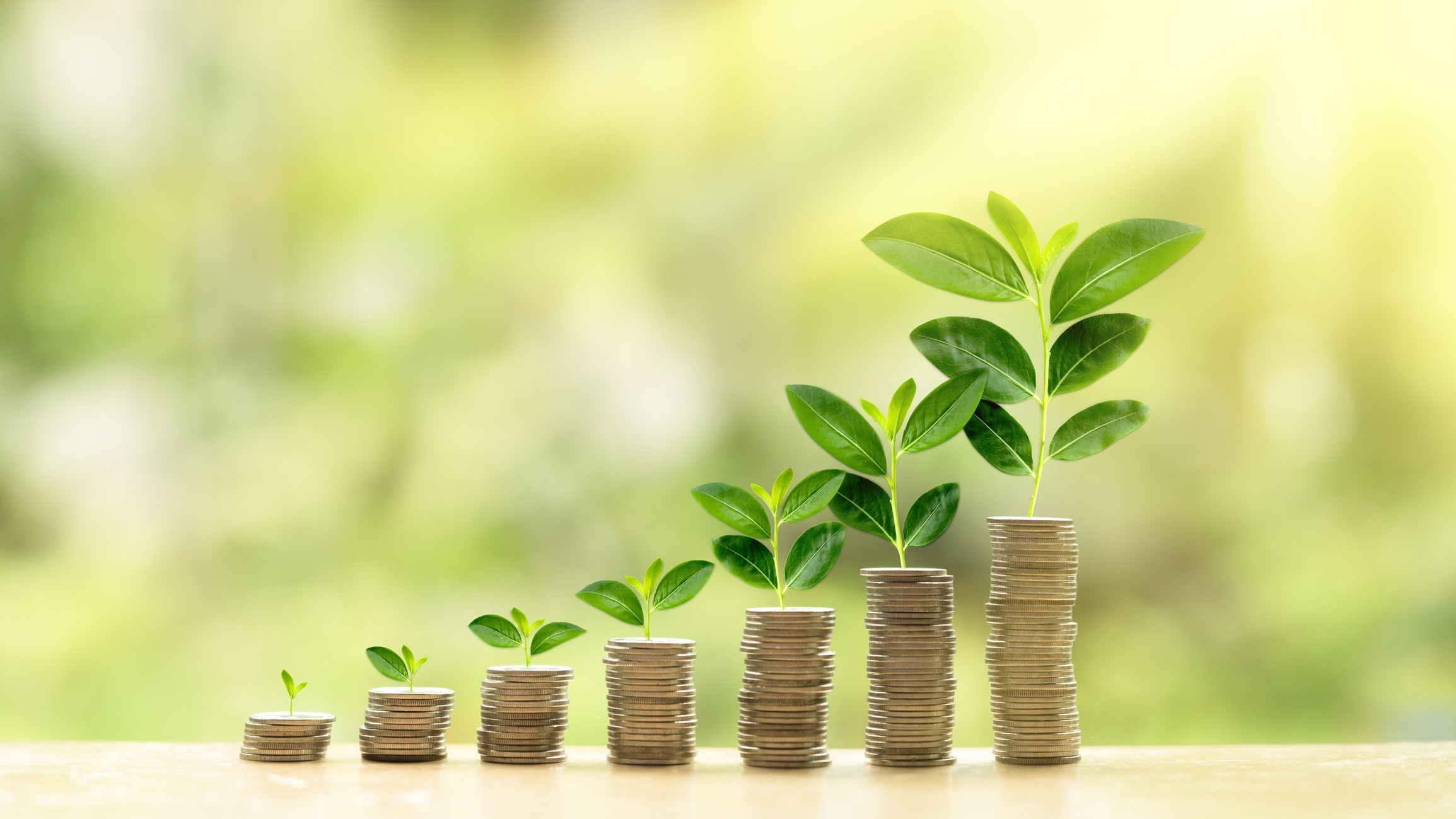 growing investment concept
