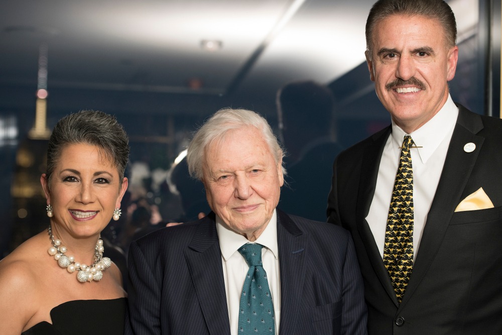 new,york,,ny, ,march,1,,2018:,rita,magill,,sir
