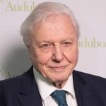 Sir David Attenborough's Net Worth in 2025: A Legacy of Wealth, Wisdom and Planetary Impact
