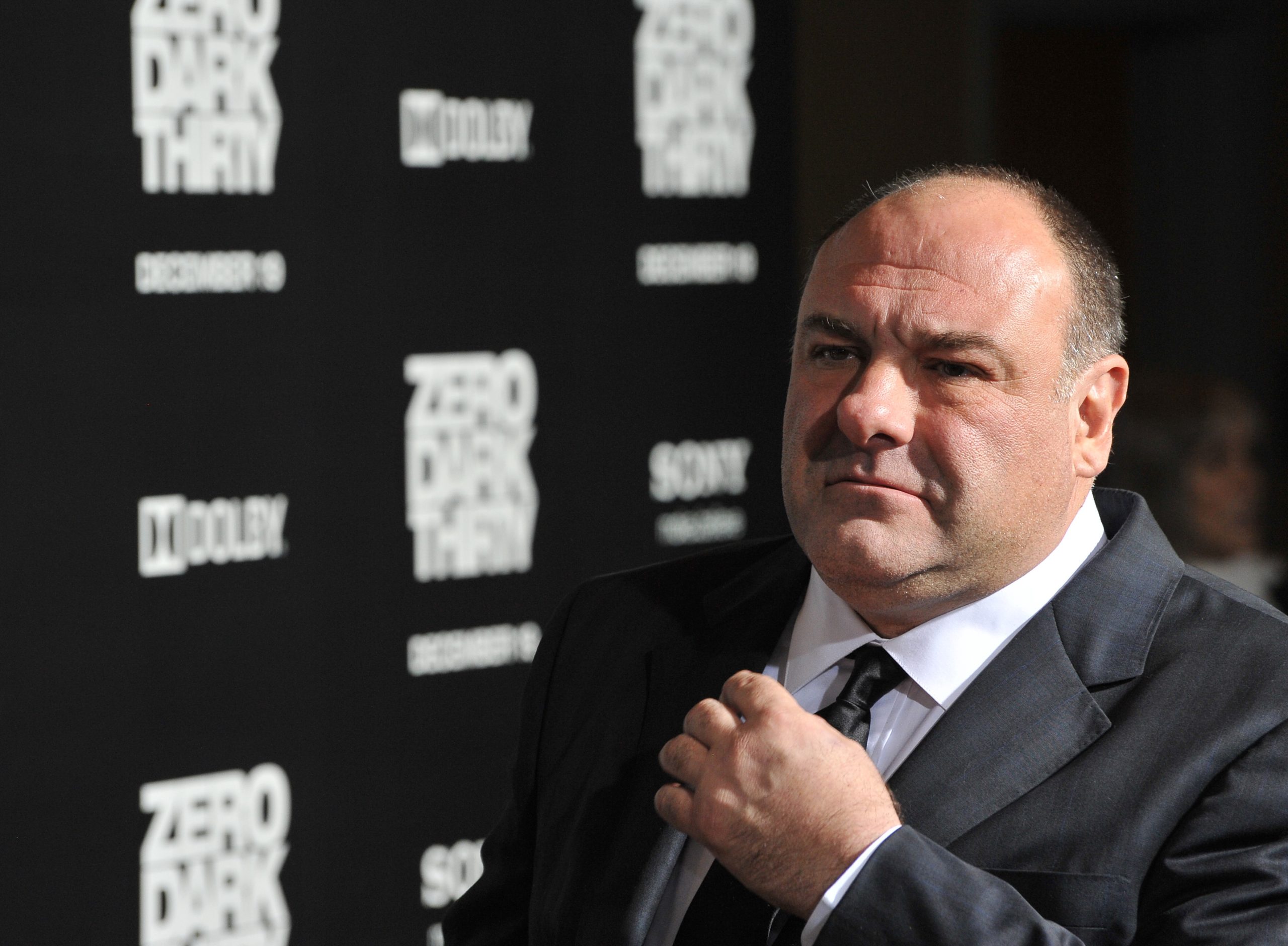 james,gandolfini,at,the,premiere,of,his,movie,"zero,dark