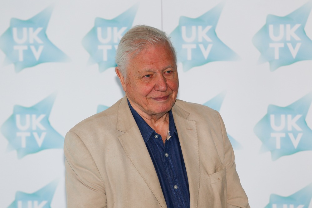 london,,6th,of,september,2016.,david,attenborough,arrives,to,the
