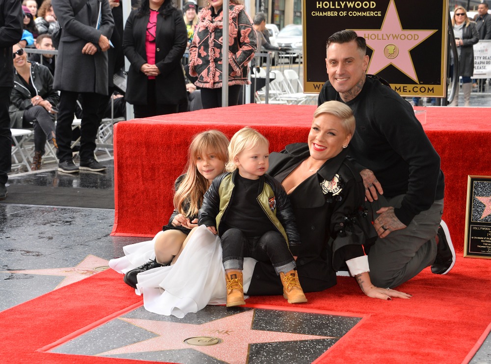 los,angeles,,ca.,february,05,,2019:,pink,,carey,hart,,willow