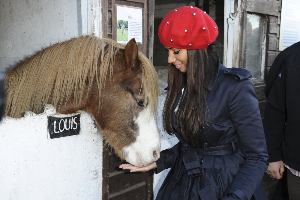 leona,lewis,raises,funds,for,hopefield,animal,sanctuary,at,their
