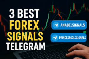 3 Best Forex Signals Telegram In 2025