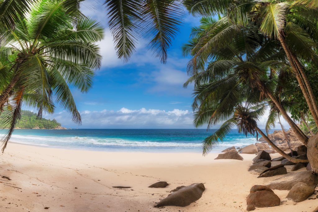 Desert Island Jobs – The Remote Roles That Pay Big