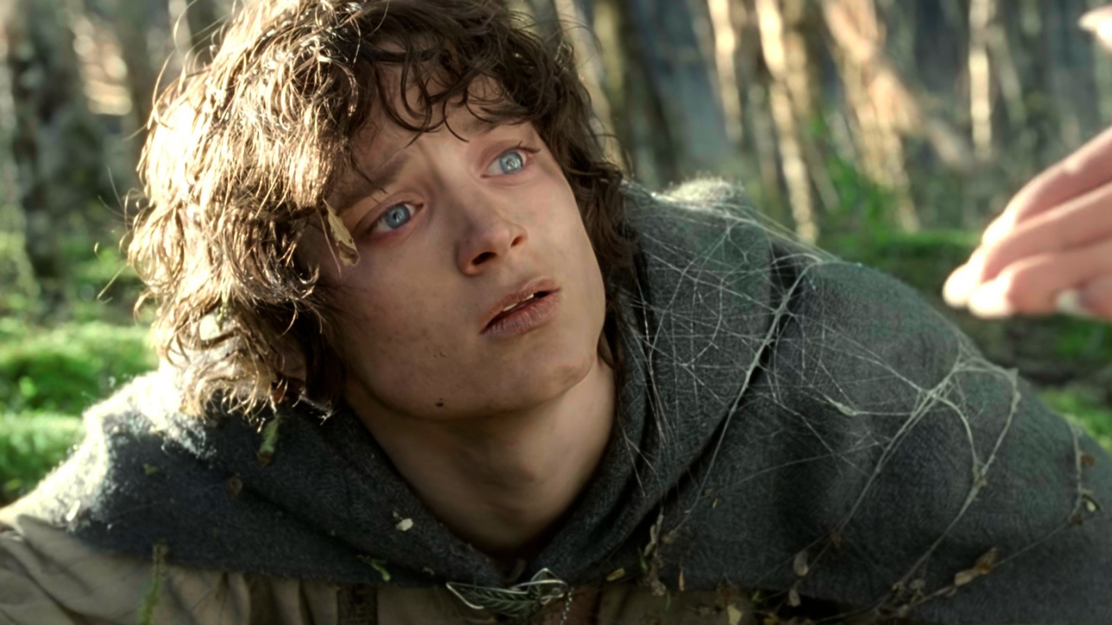 Elijah Wood as Frodo Baggins, looking tired and sorrowful, reflecting the emotional and physical toll of his journey in The Lord of the Rings.