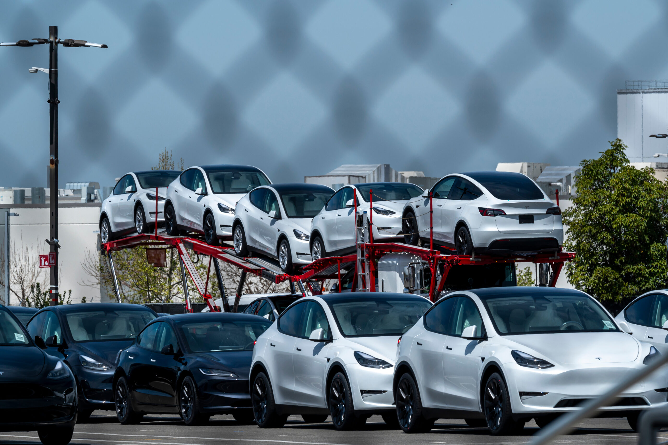 A row of brand-new Tesla vehicles parked outside a Fremont factory, highlighting the company’s production scale amid EEOC mediation and federal workplace investigations.