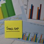 What To Know Before Considering A Small Cap Fund For Long-Term Goals