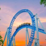 Emotional Resilience in the Job Search: How to Survive the Interview Roller Coaster