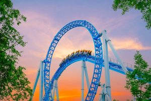 Emotional Resilience in the Job Search: How to Survive the Interview Roller Coaster