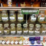 States Are Quietly Becoming More Dependent on Marijuana Money as Economic Pressure Builds